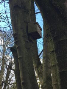 Revesby Estate woodland management plan - birdbox