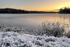 Revesby Estate fisheries reservoir was frosty in Winter with snow and ice.
