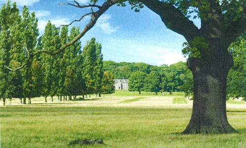 Parkland